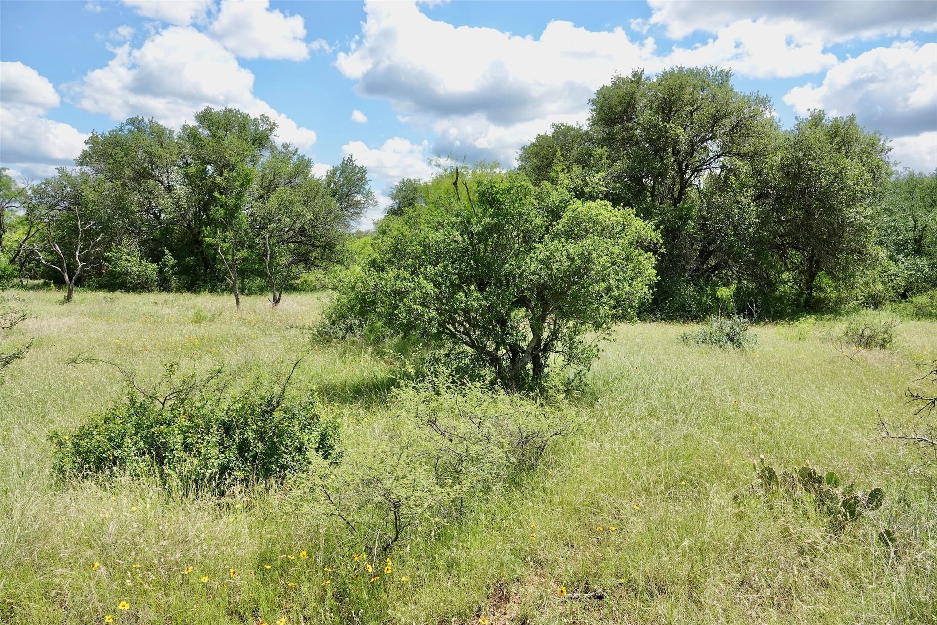 130 acres in Mills County - photo 23