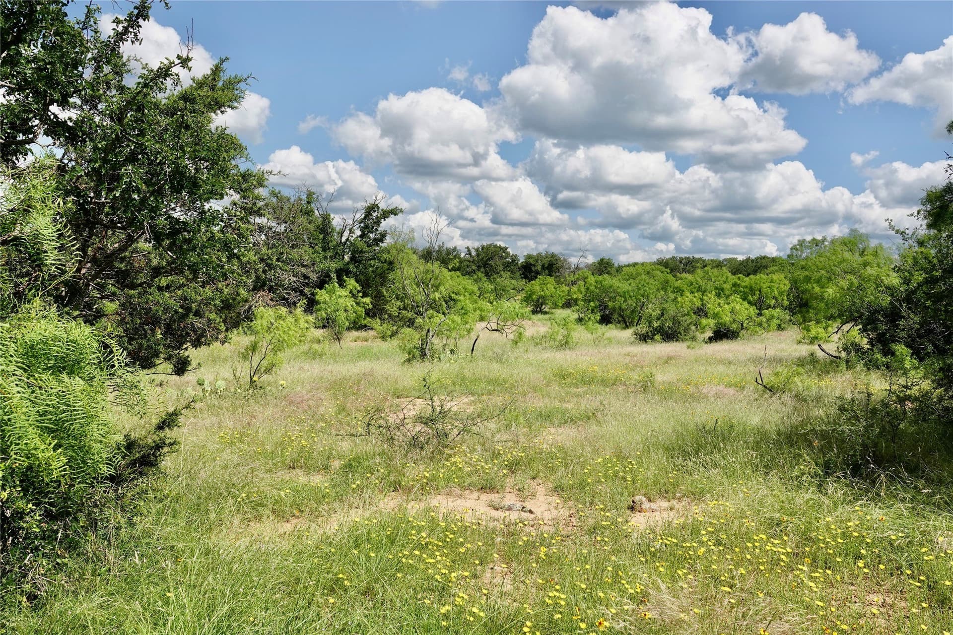 130 acres in Mills County - photo 28