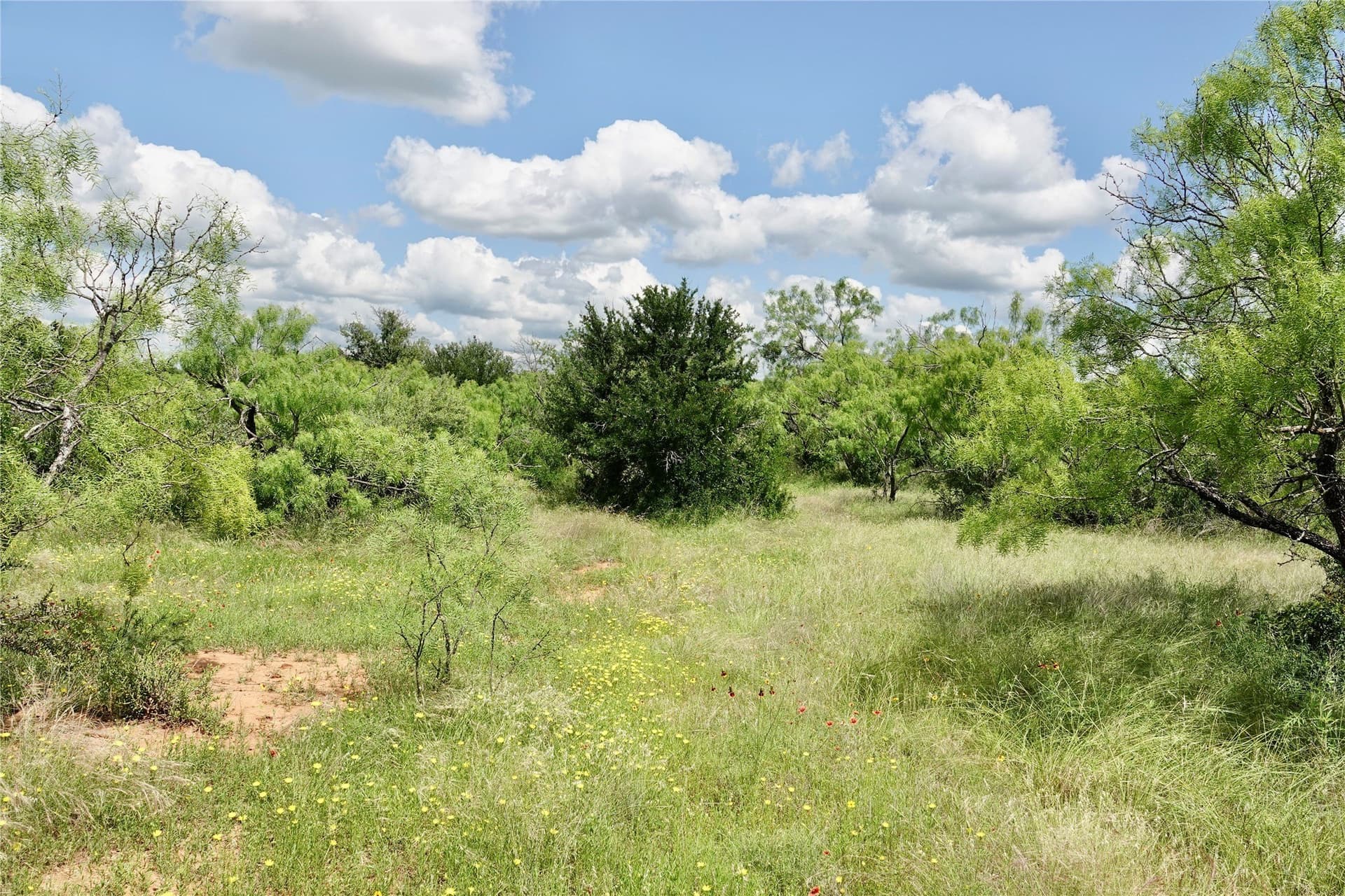 130 acres in Mills County - photo 30