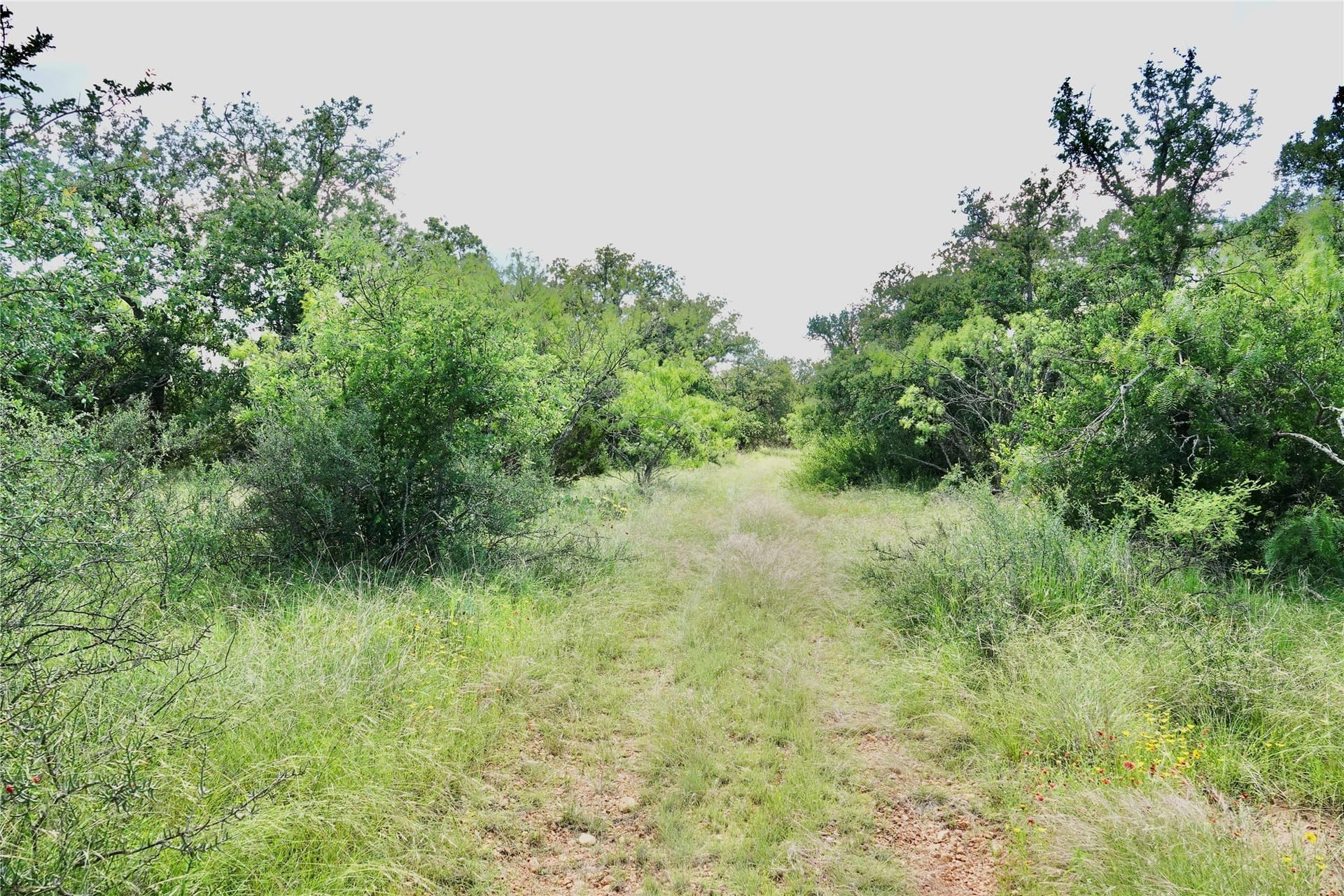 130 acres in Mills County - photo 33