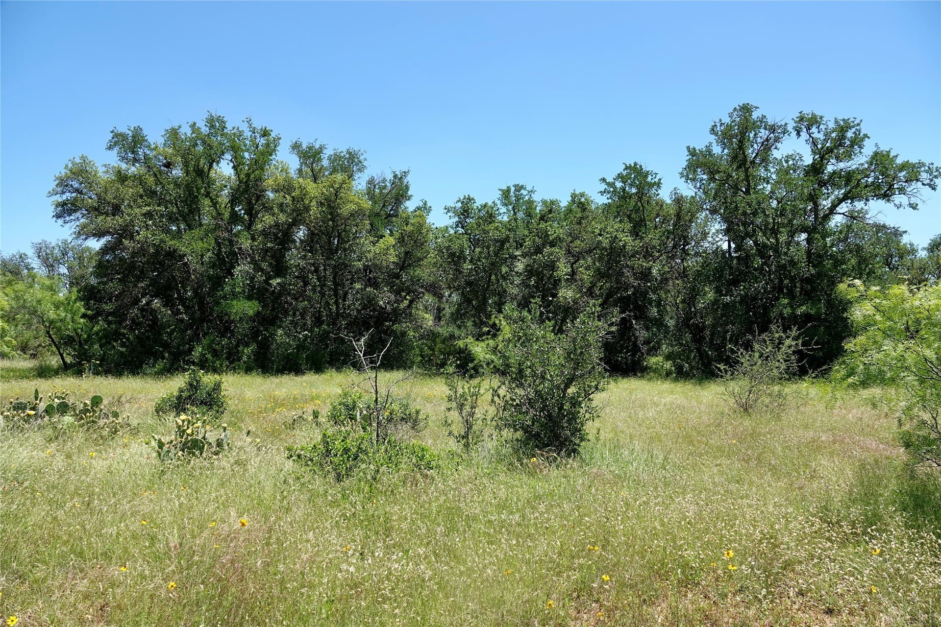 130 acres in Mills County - photo 7