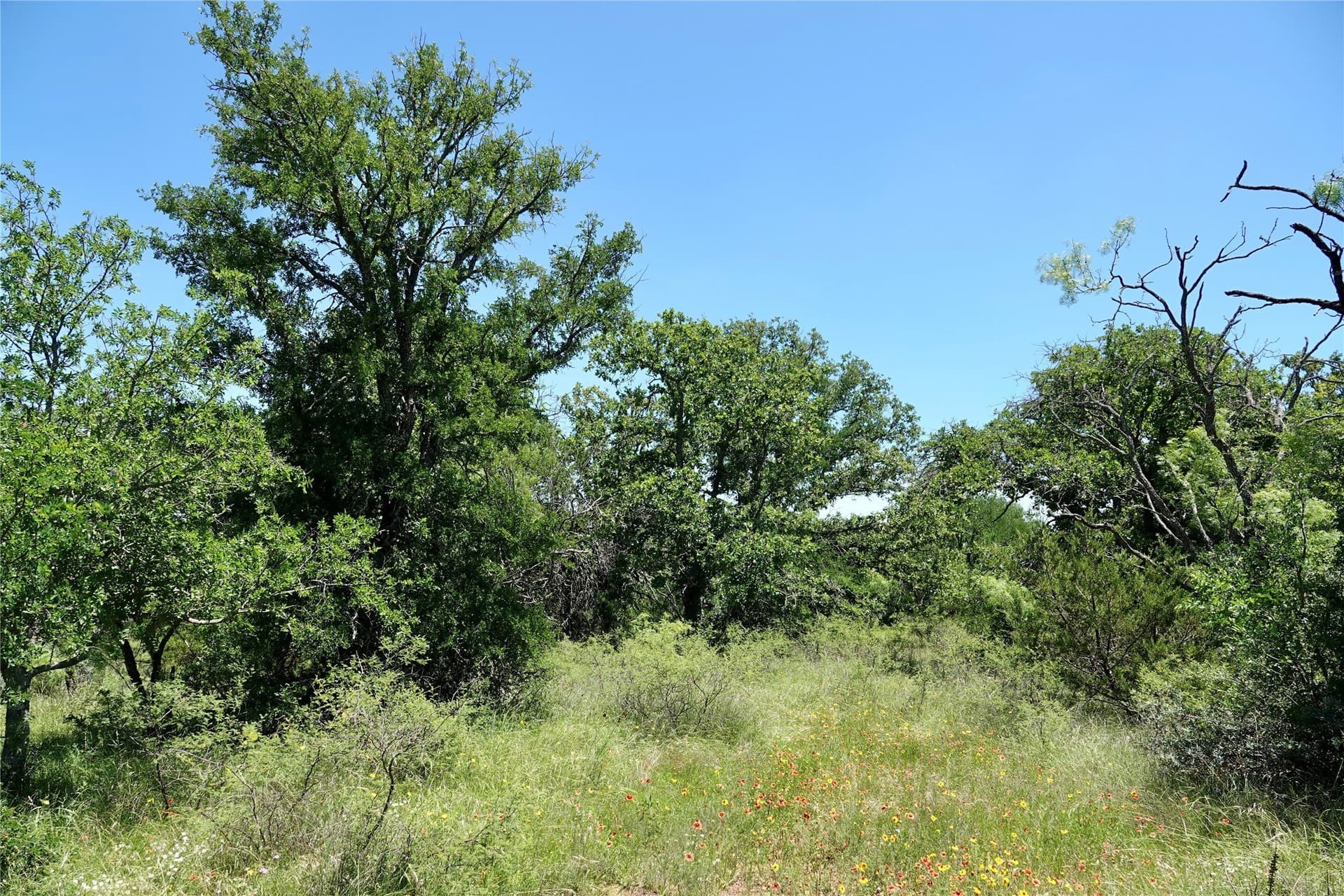 130 acres in Mills County - photo 36