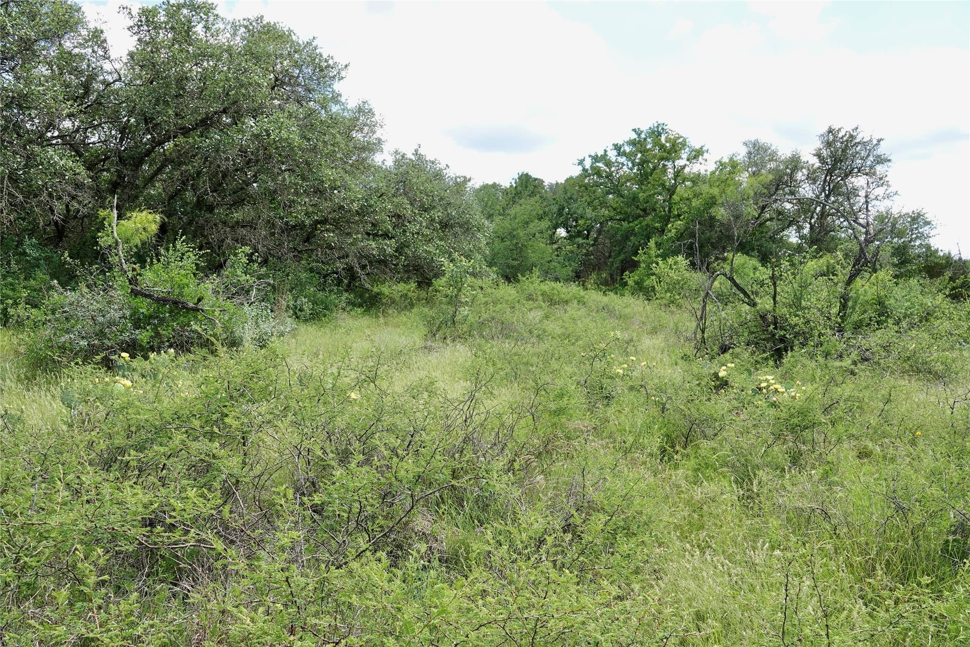 130 acres in Mills County - photo 26
