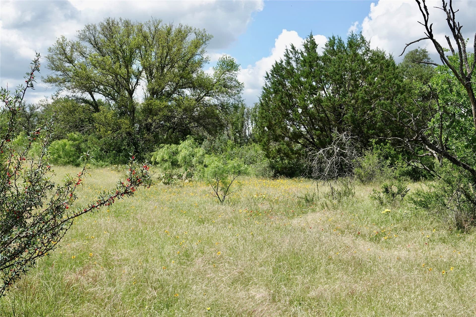 130 acres in Mills County - photo 21