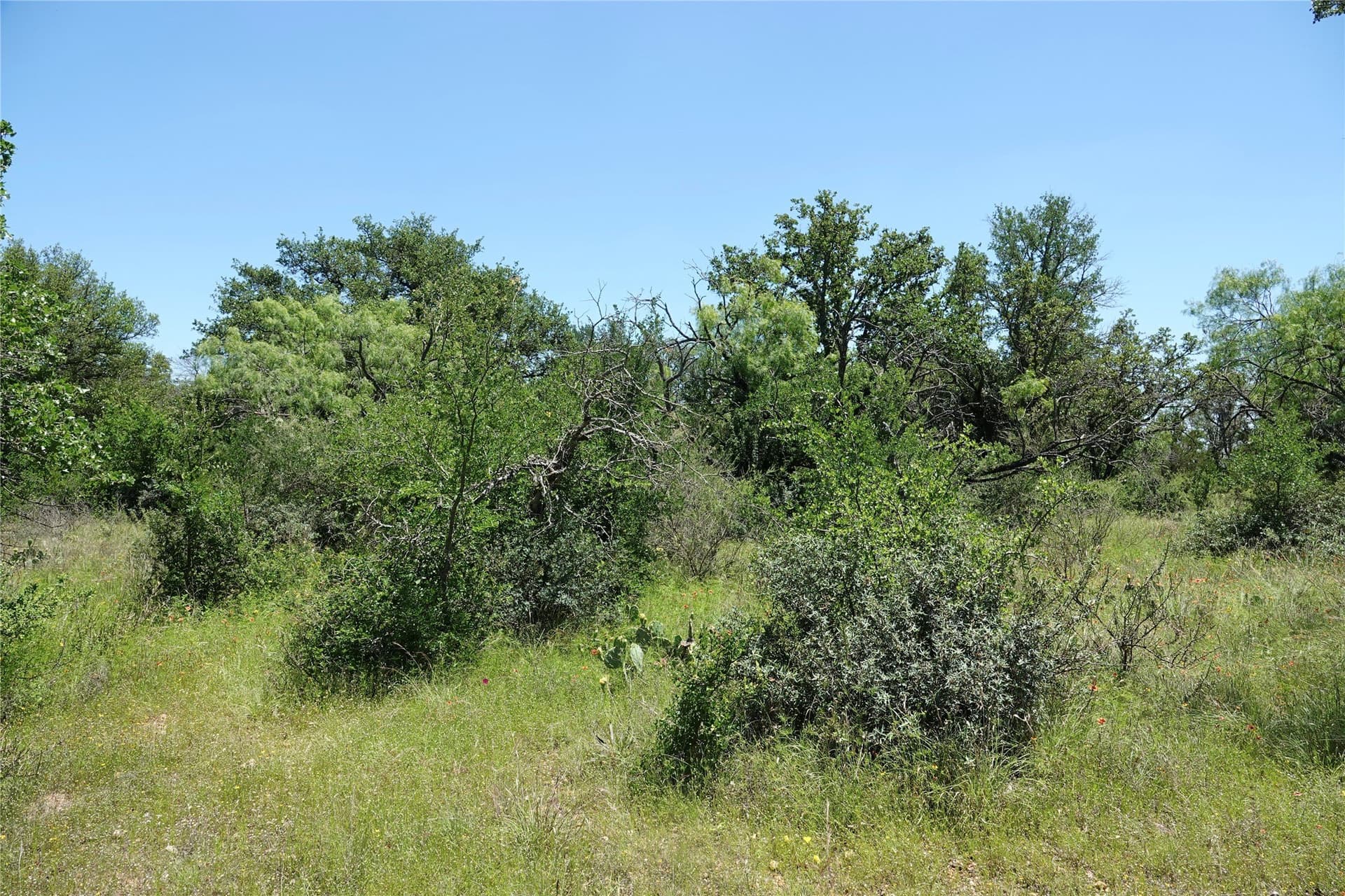 130 acres in Mills County - photo 37