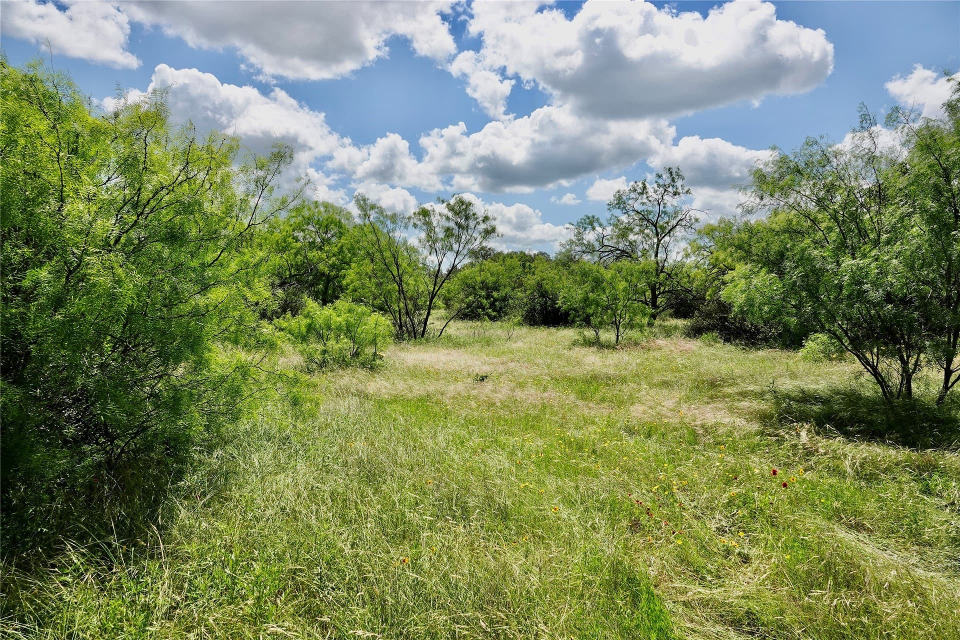 130 acres in Mills County - photo 19