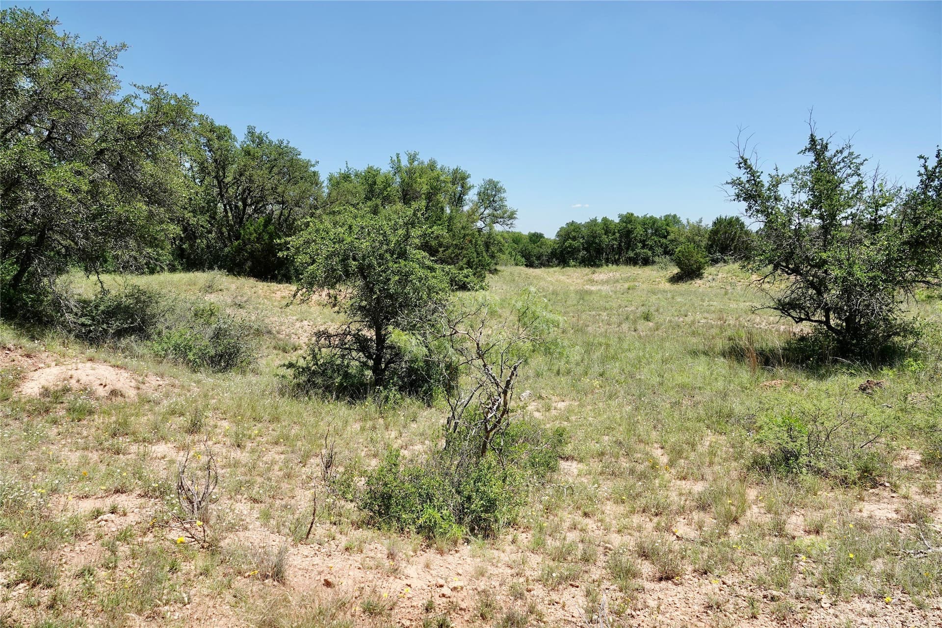 130 acres in Mills County - photo 8