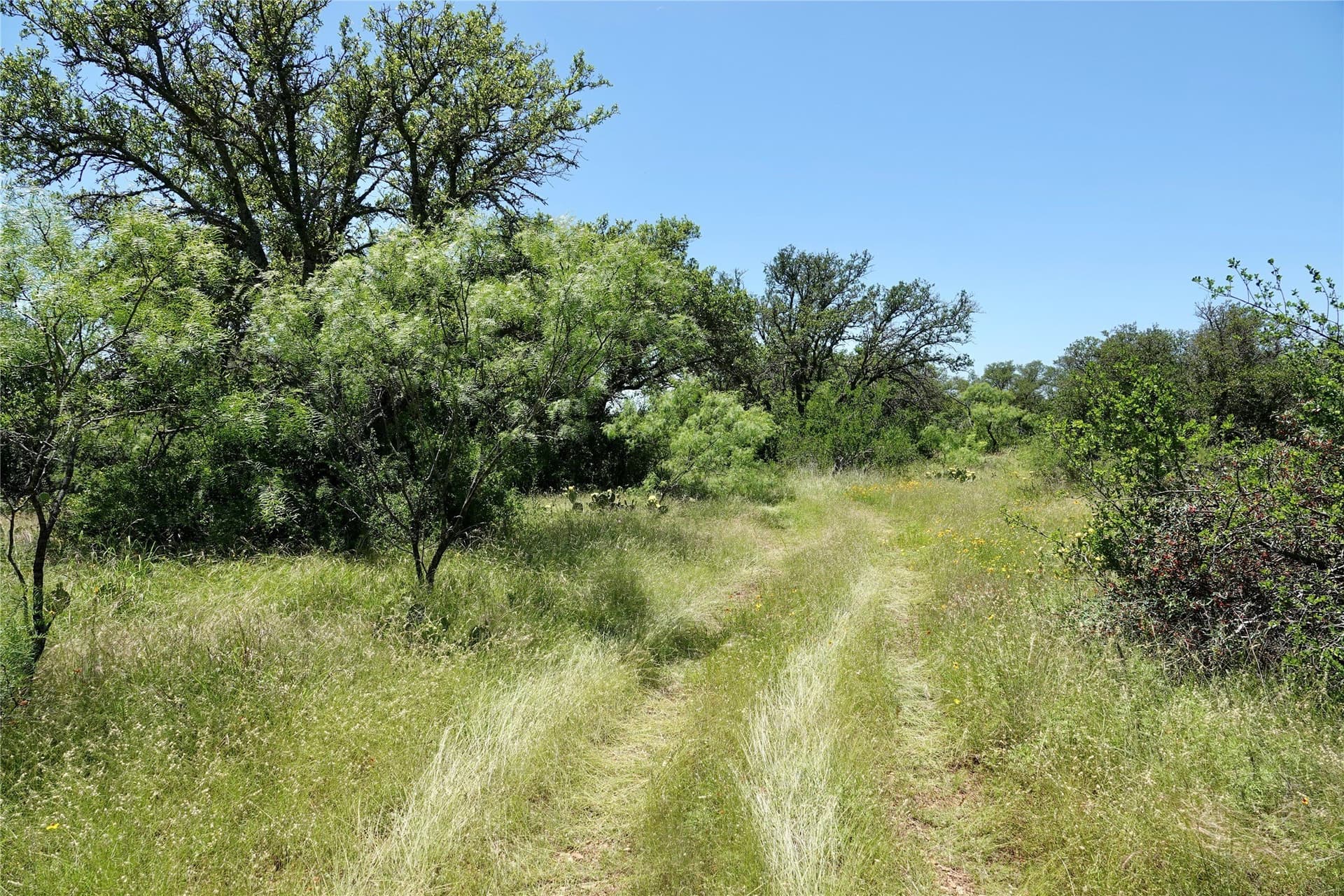 130 acres in Mills County - photo 16