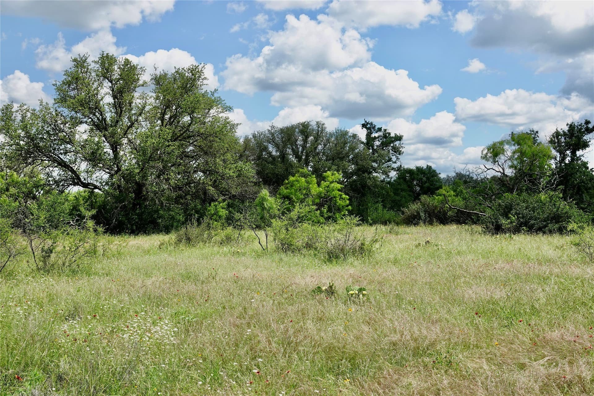 130 acres in Mills County - photo 24