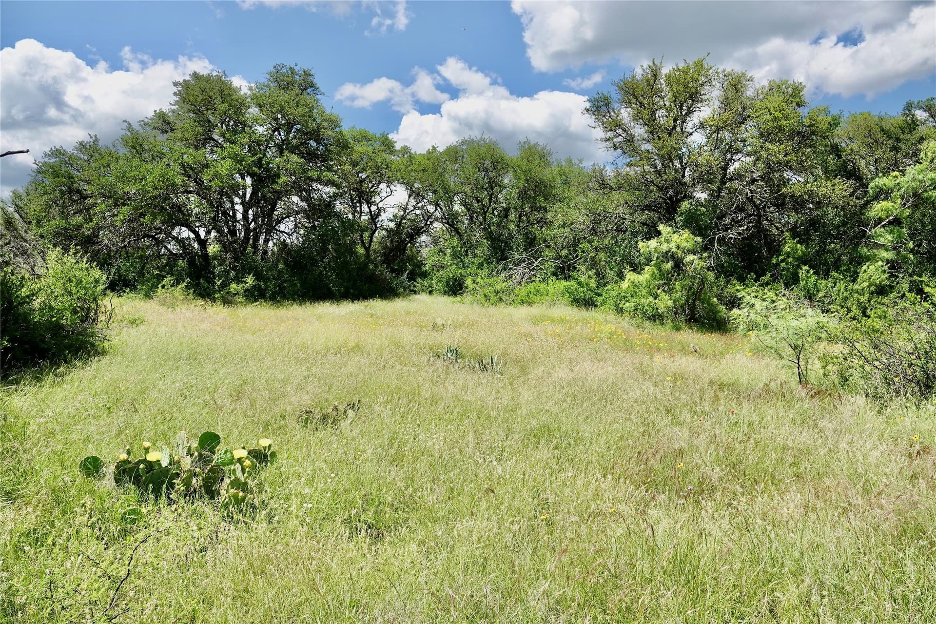 130 acres in Mills County - photo 22
