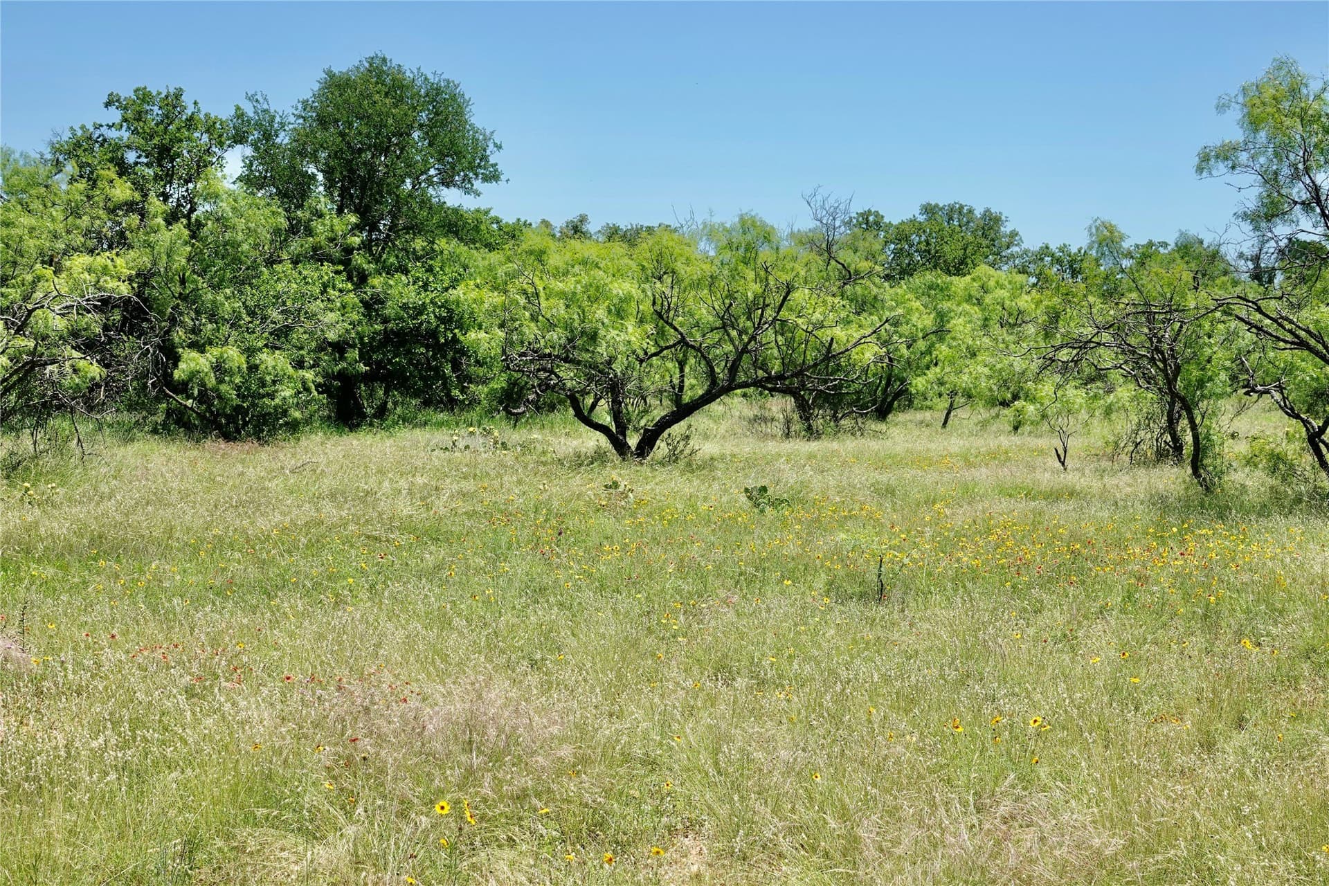 130 acres in Mills County - photo 34