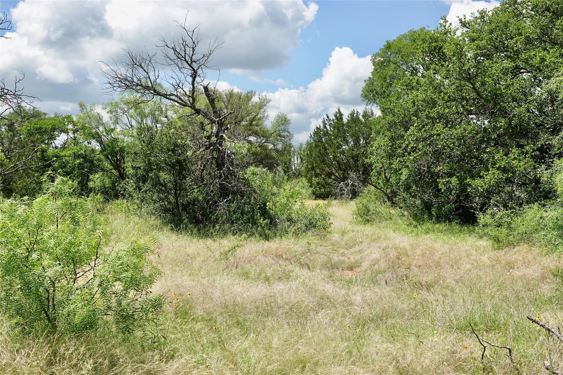 130 acres in Mills County - photo 20
