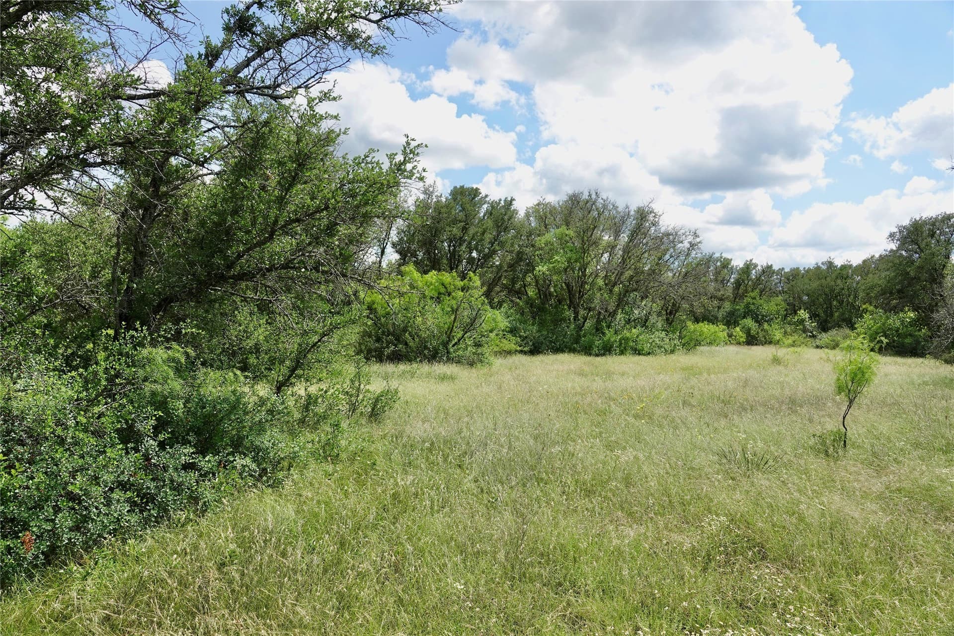 130 acres in Mills County - photo 25