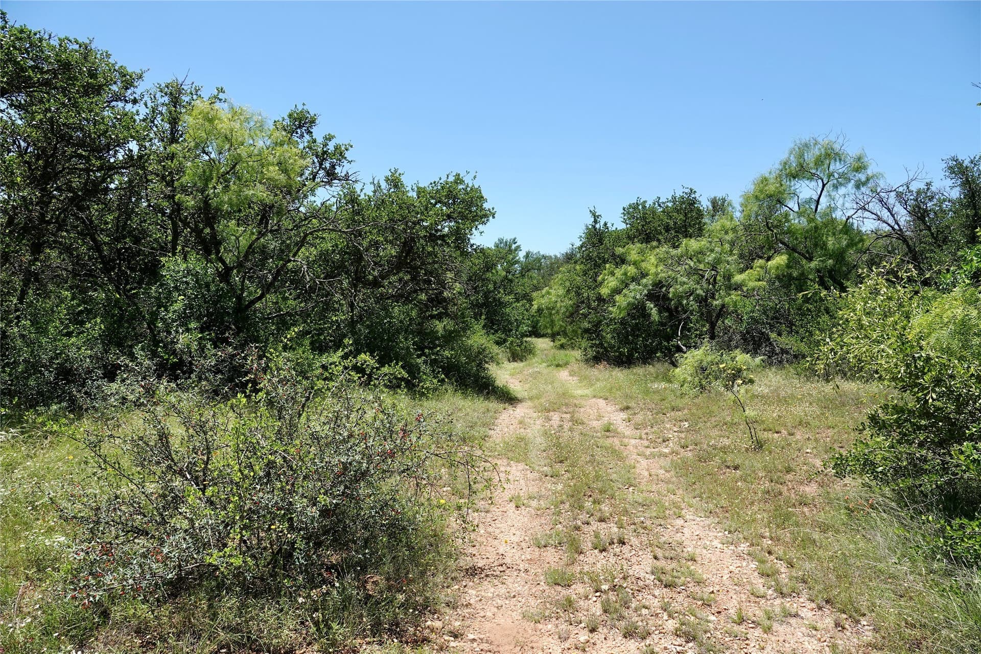 130 acres in Mills County - photo 13