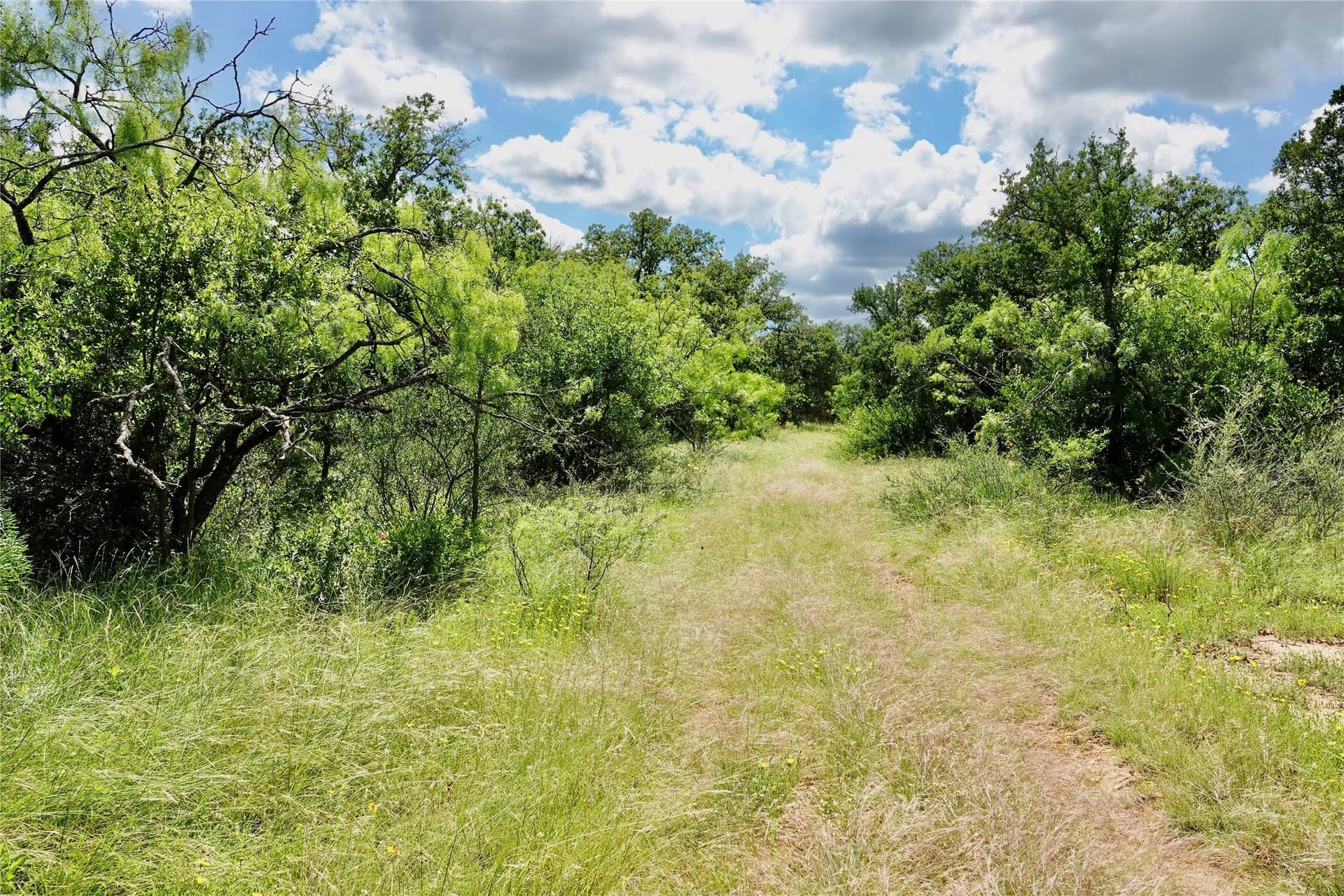 130 acres in Mills County - photo 31