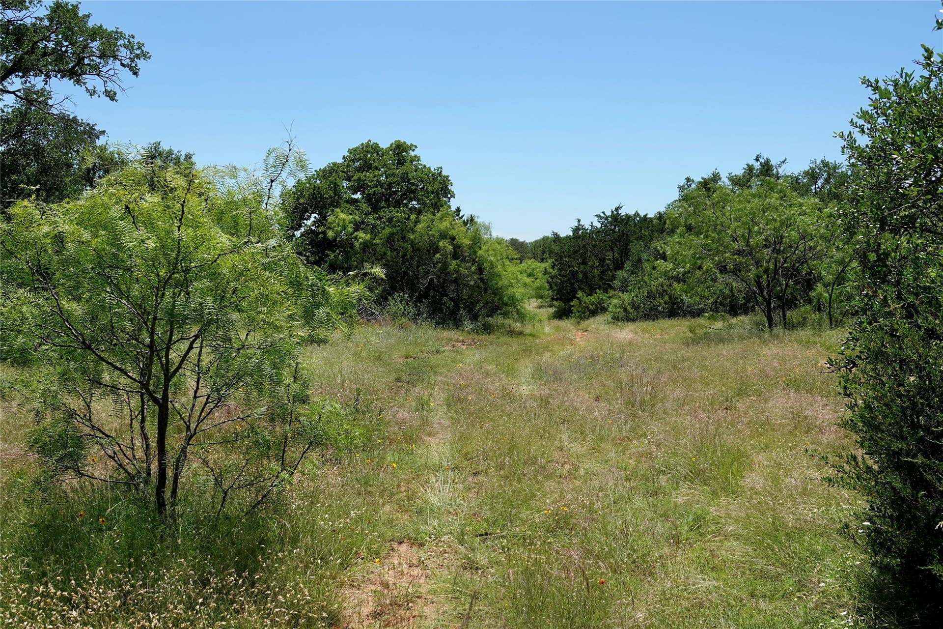 130 acres in Mills County - photo 6