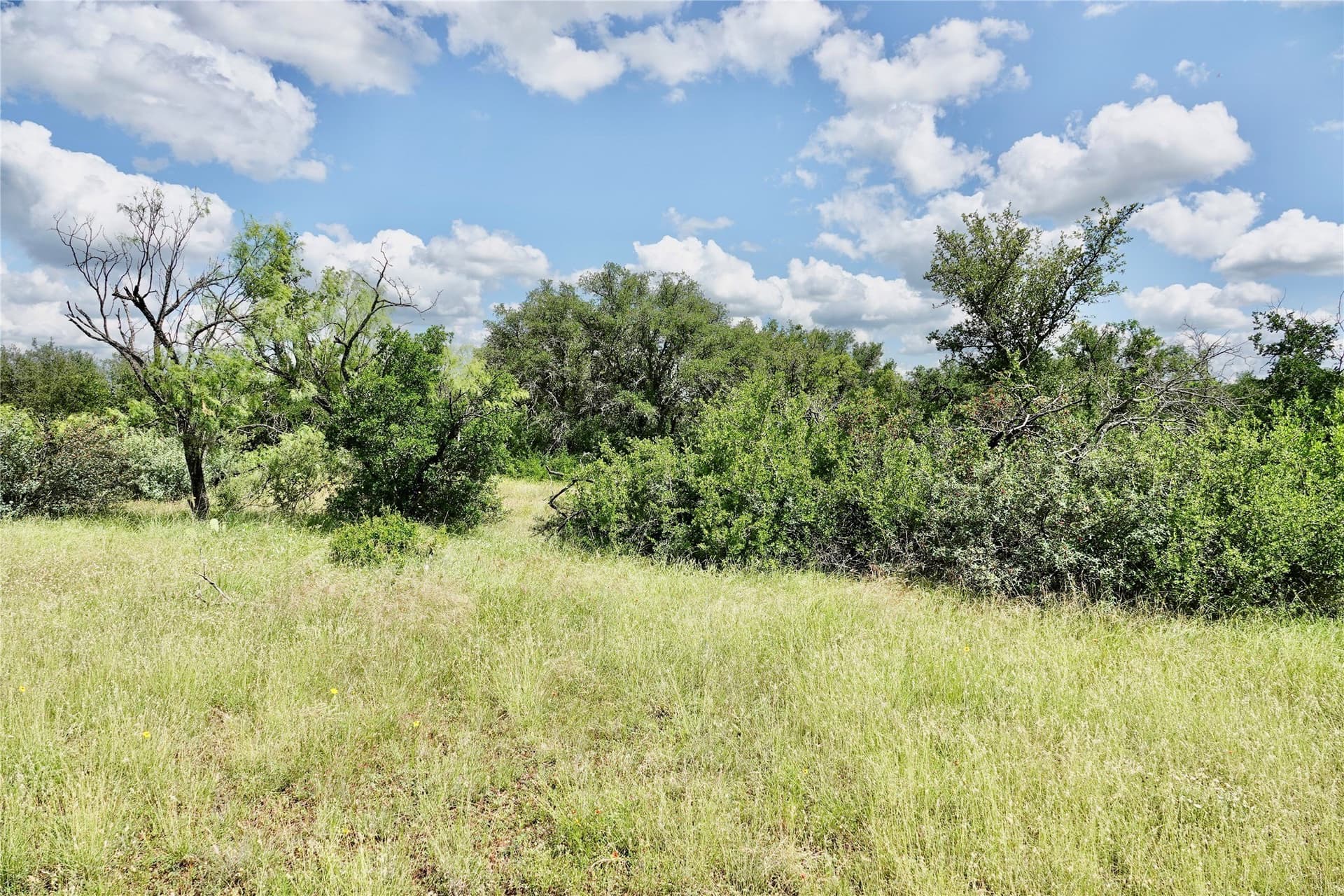130 acres in Mills County - photo 32