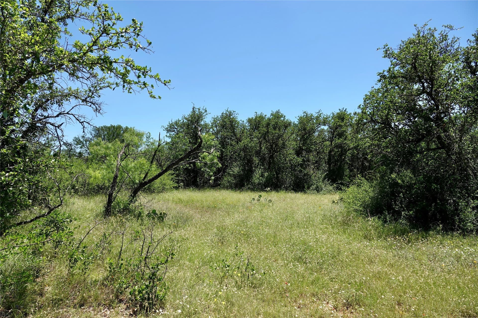 130 acres in Mills County - photo 14