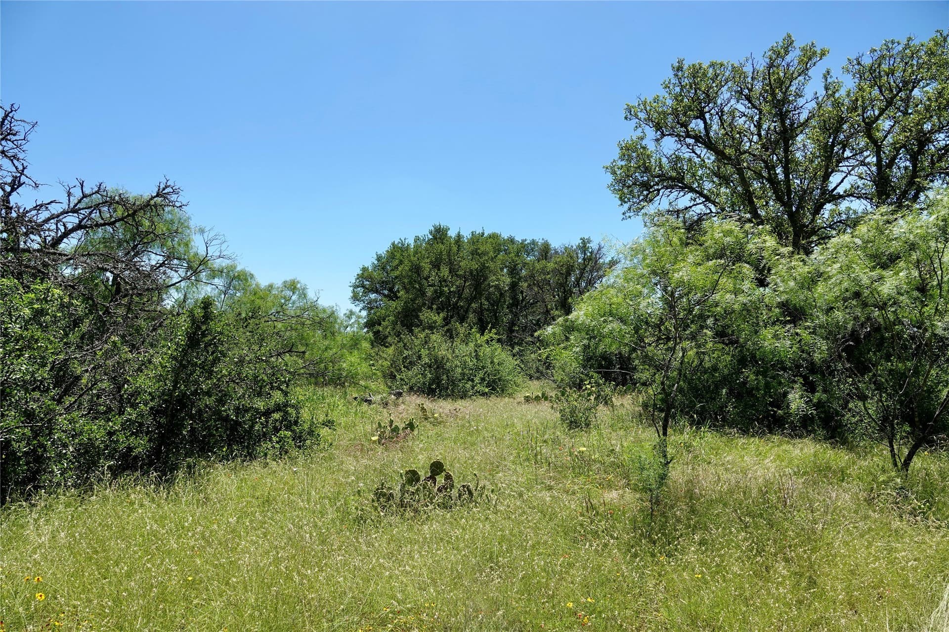 130 acres in Mills County - photo 17