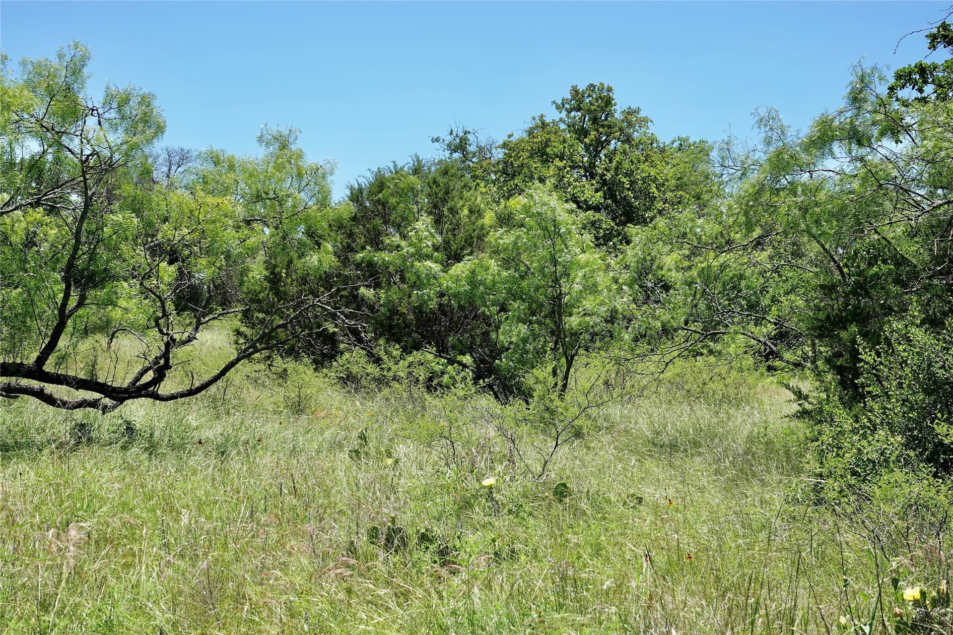130 acres in Mills County - photo 35