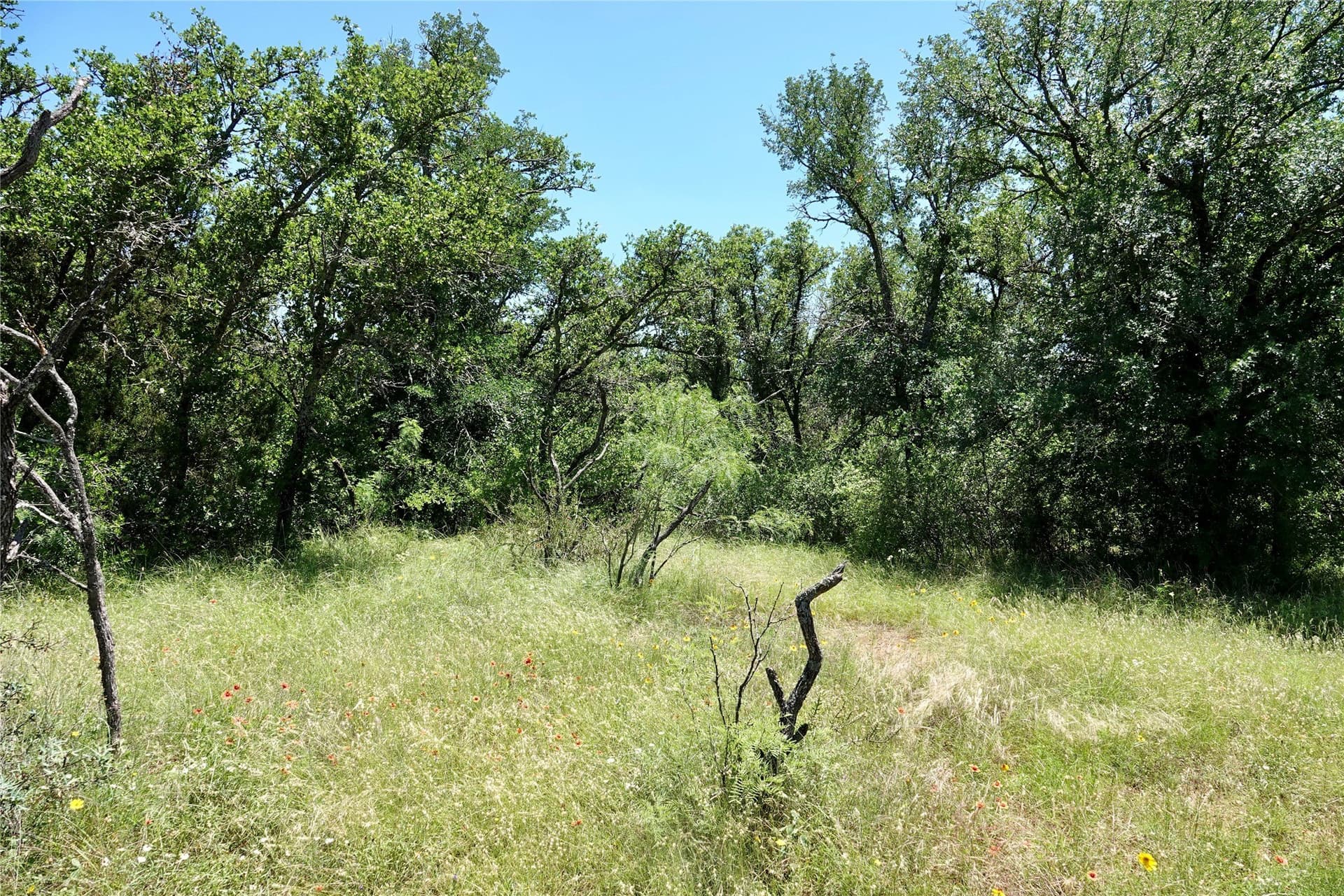 130 acres in Mills County - photo 11