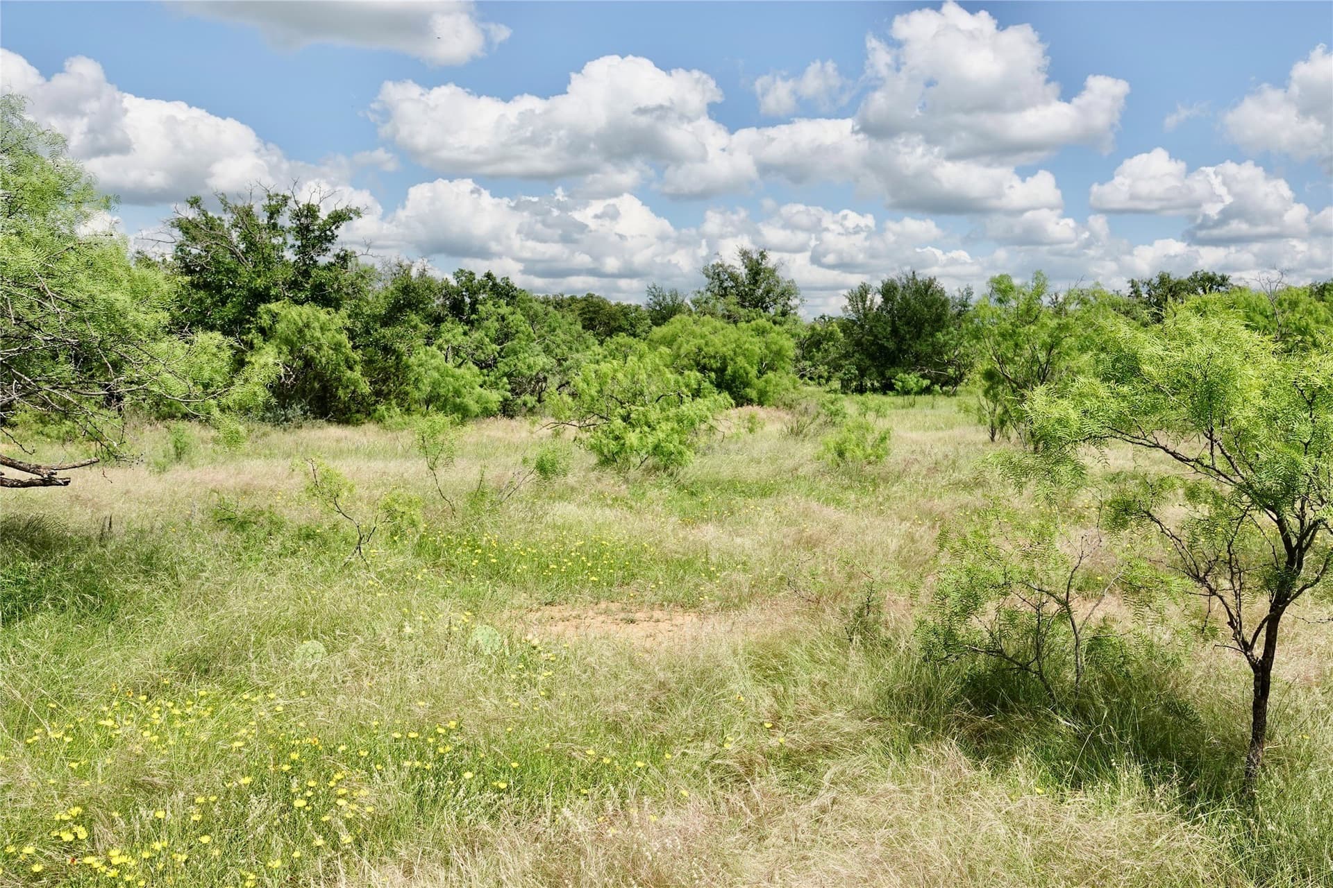 130 acres in Mills County - photo 29