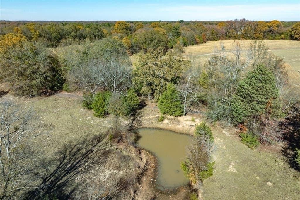 30.7 acres in Wood County gallery image 4