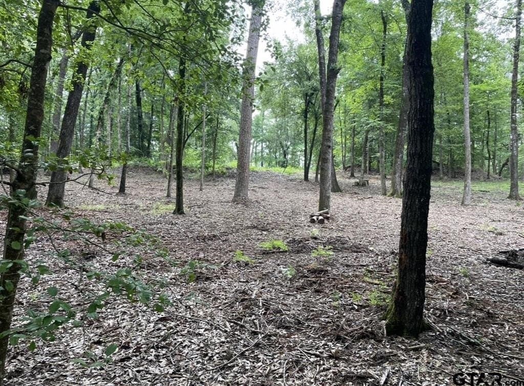 9.9 acres in Cass County - photo 21