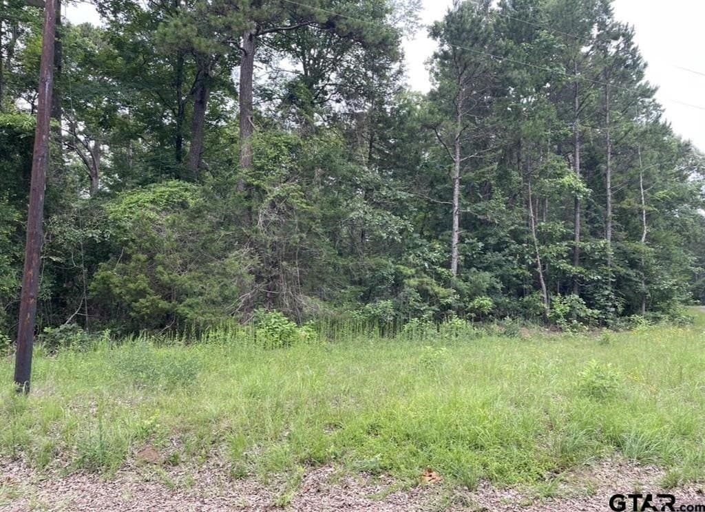 9.9 acres in Cass County - photo 7