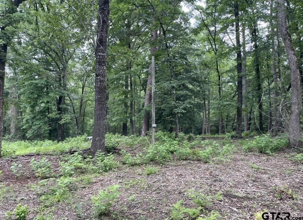 9.9 acres in Cass County - photo 9