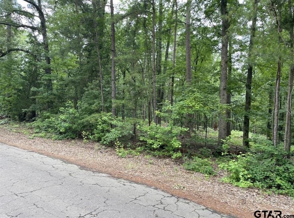 9.9 acres in Cass County - photo 16