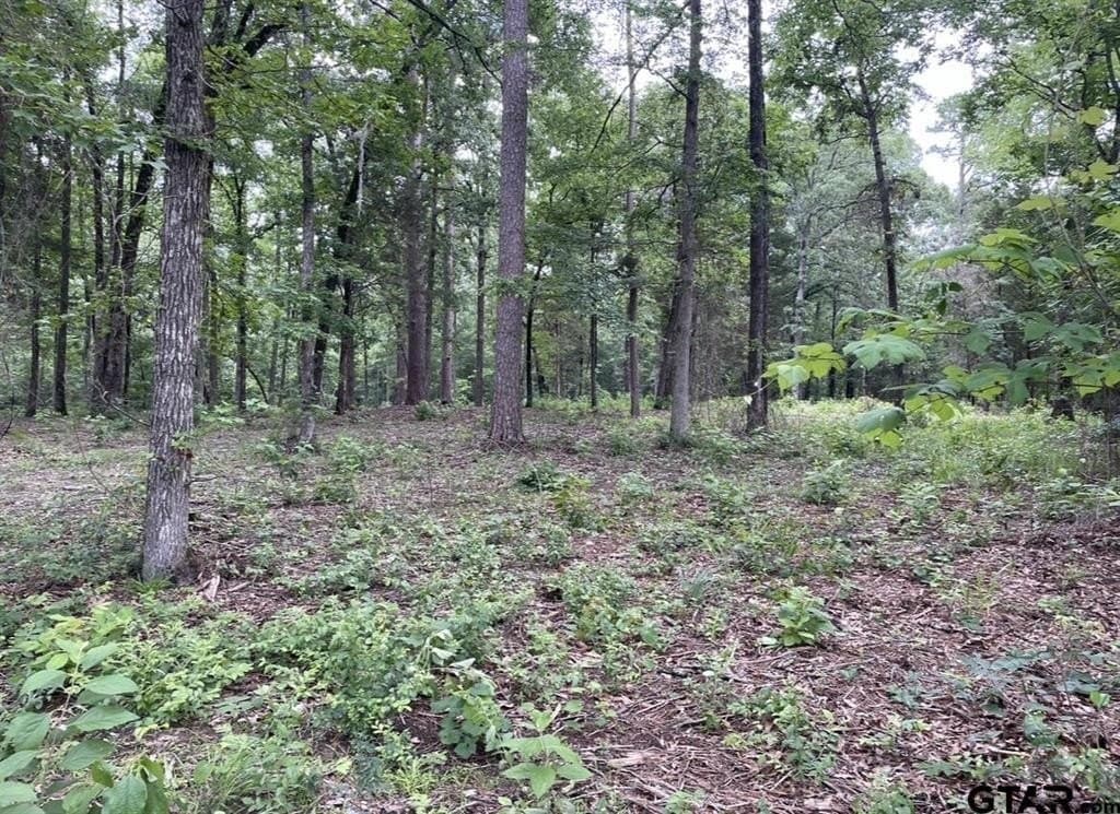 9.9 acres in Cass County - photo 18