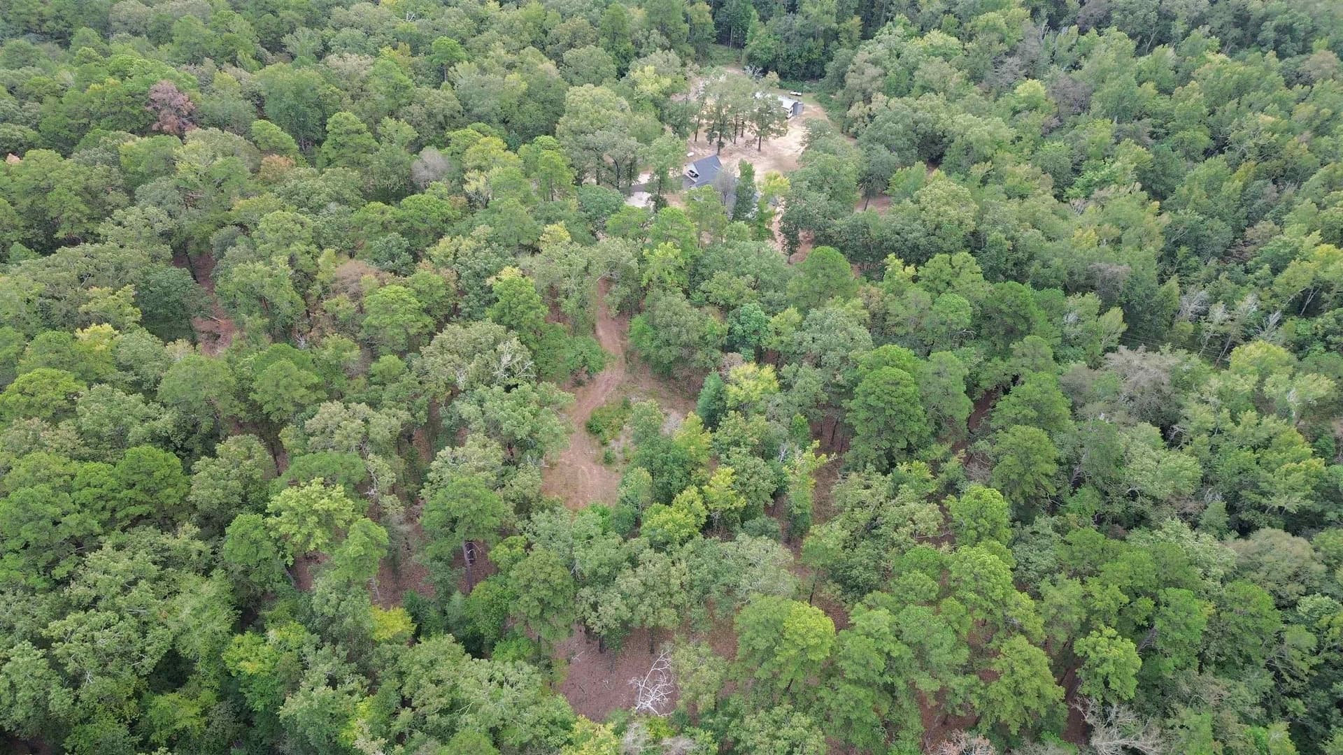 9.9 acres in Cass County - photo 25