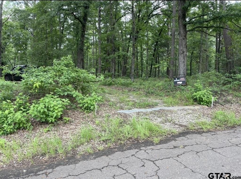9.9 acres in Cass County - photo 19