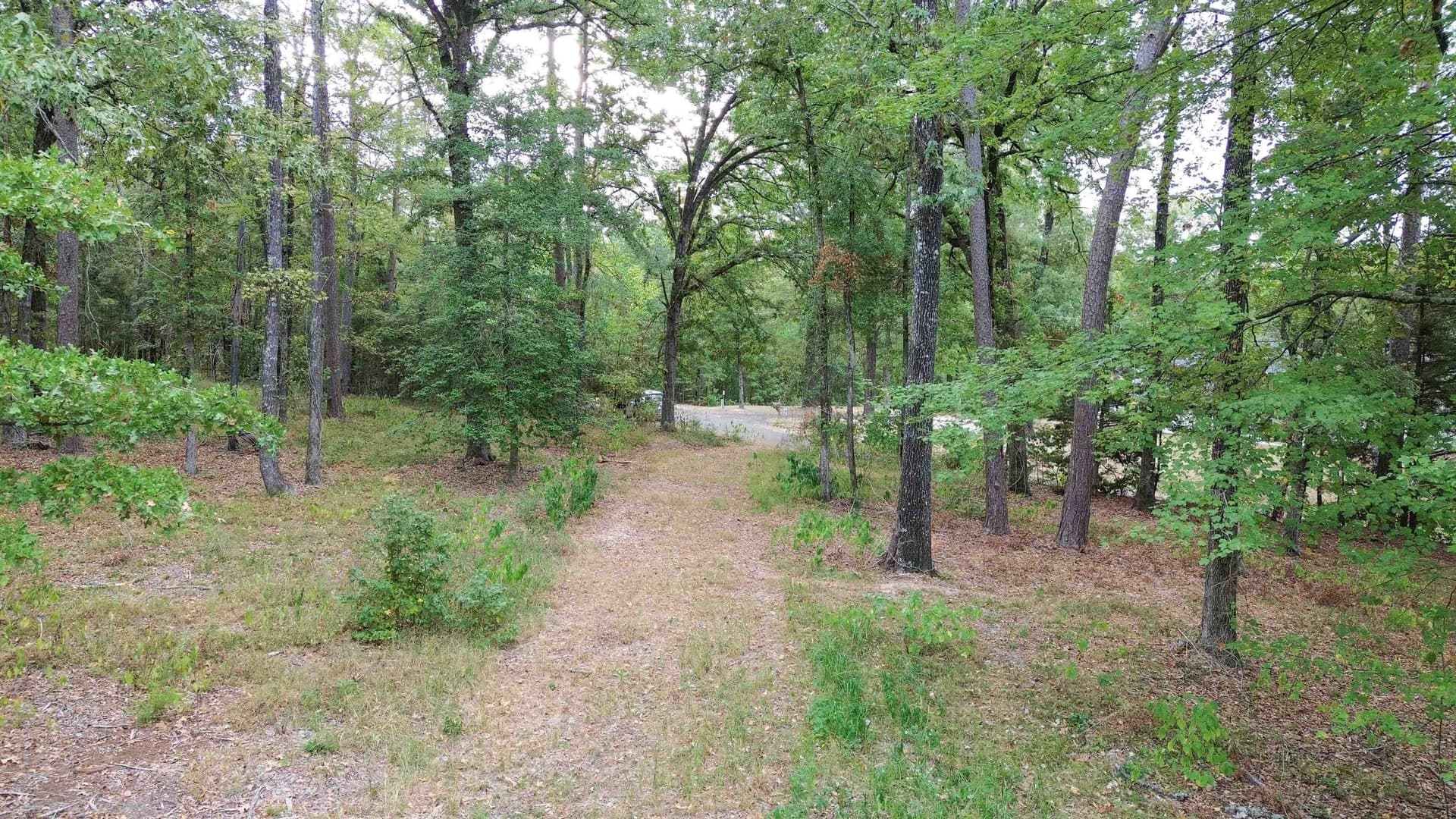 9.9 acres in Cass County - photo 3