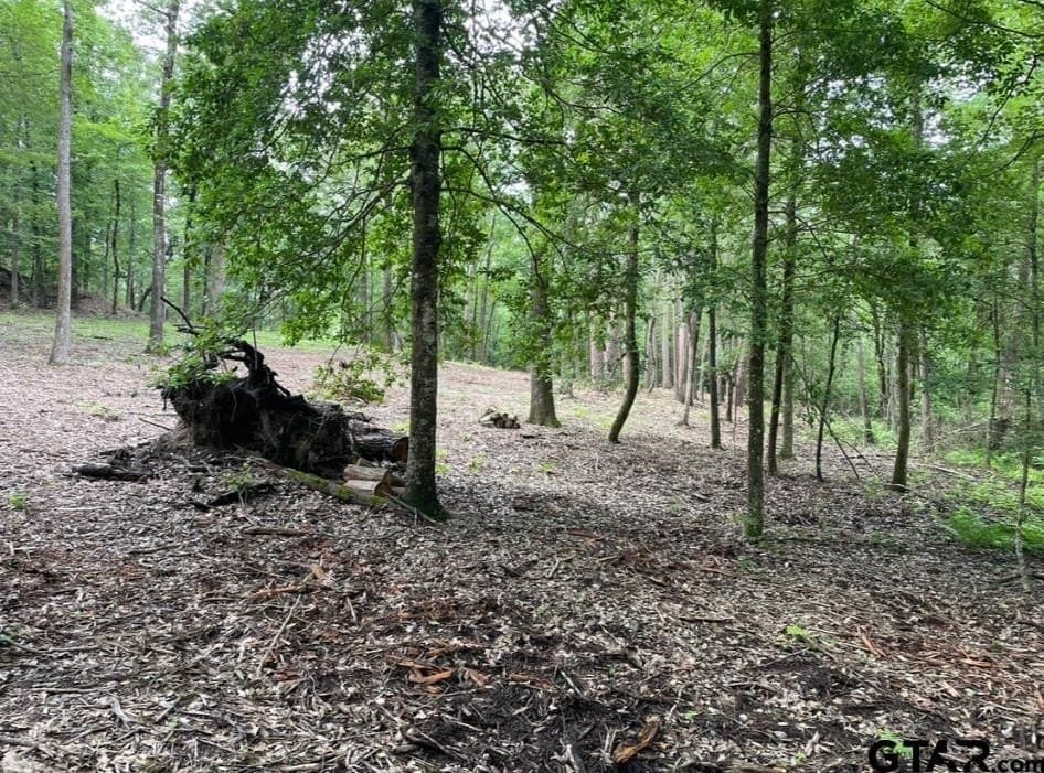 9.9 acres in Cass County - photo 17