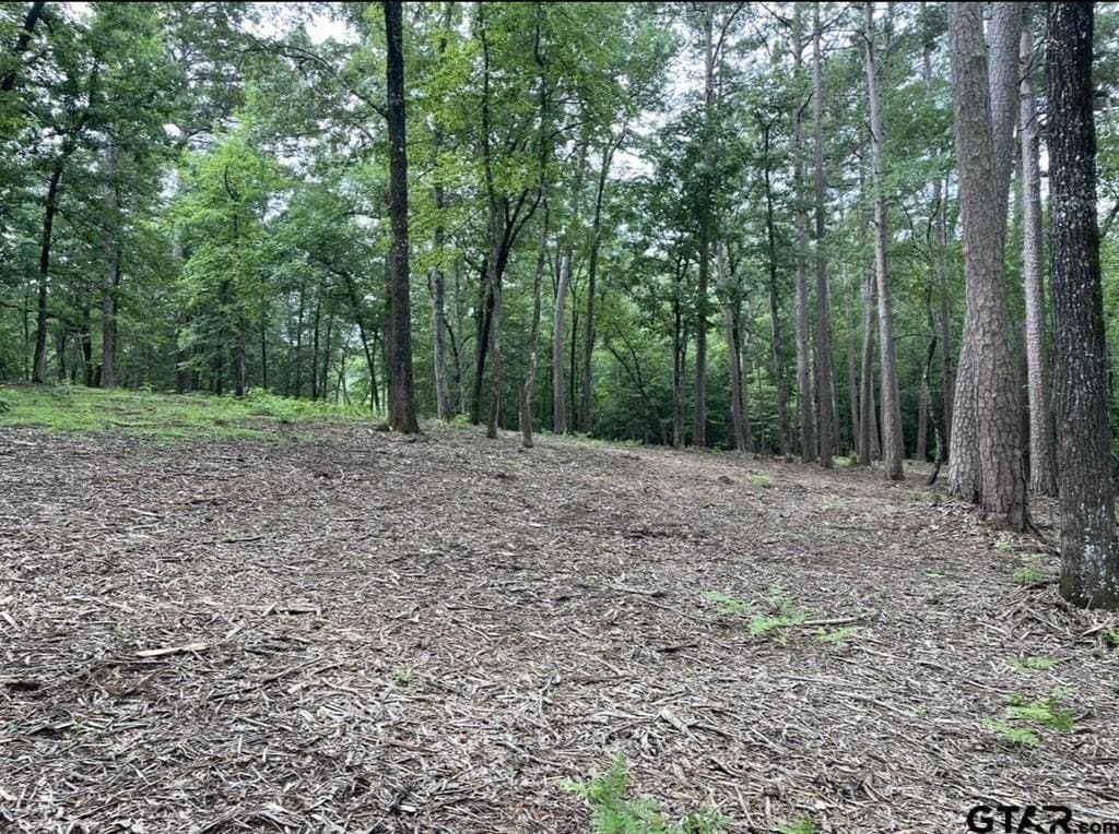 9.9 acres in Cass County - photo 20