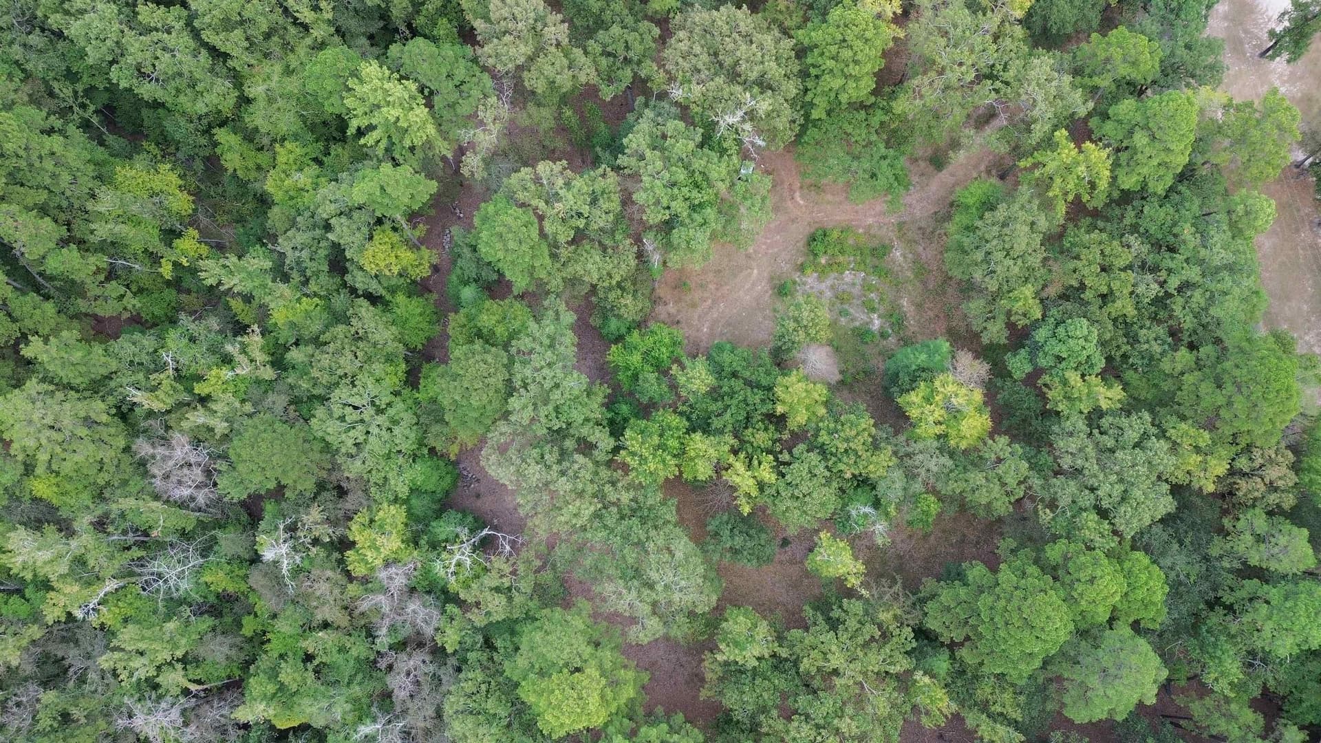 9.9 acres in Cass County - photo 26