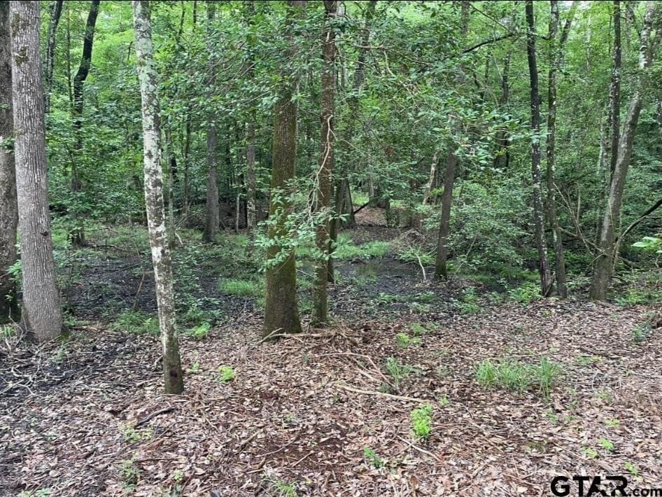 9.9 acres in Cass County - photo 15