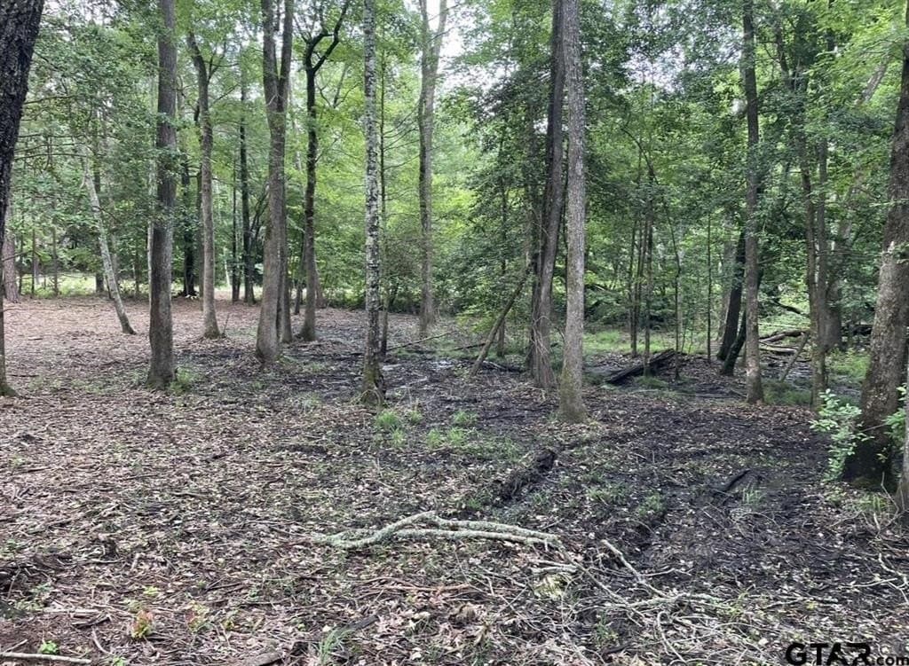 9.9 acres in Cass County - photo 8