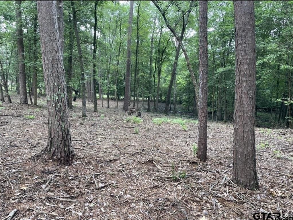9.9 acres in Cass County - photo 12
