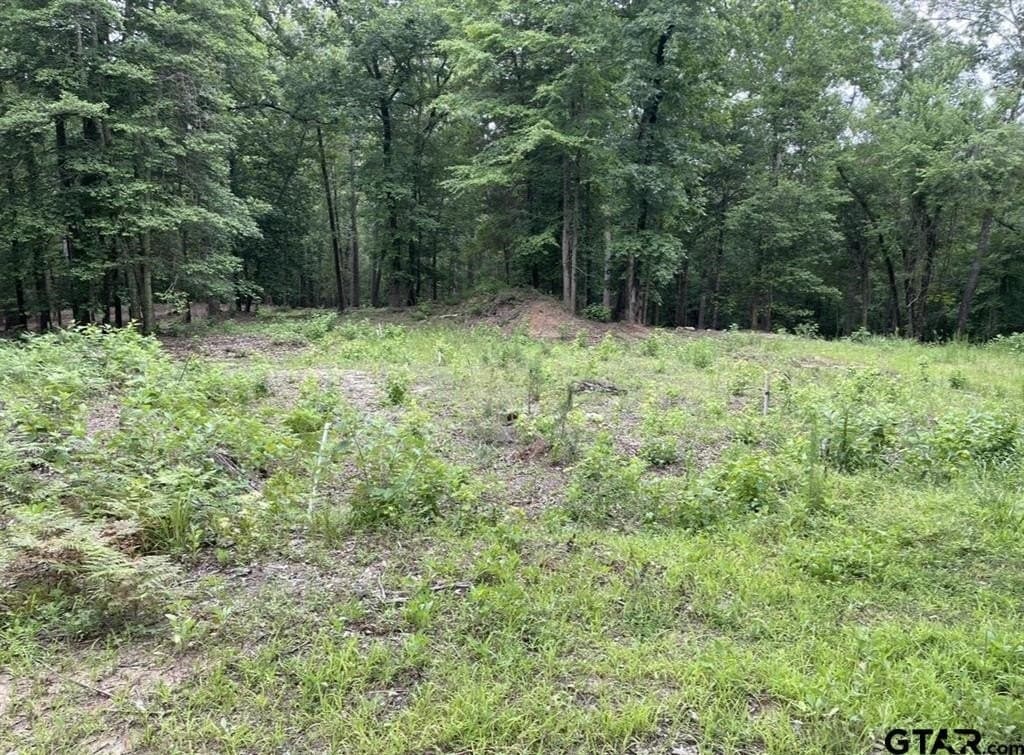9.9 acres in Cass County - photo 5
