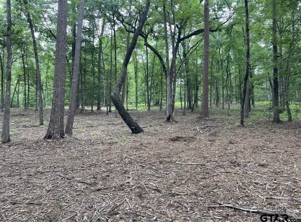 9.9 acres in Cass County - photo 13