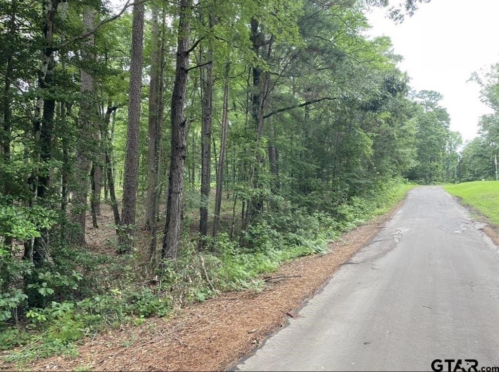 9.9 acres in Cass County - photo 6