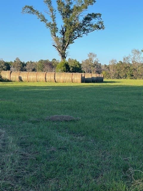 45.44 acres in Texas County gallery image 2