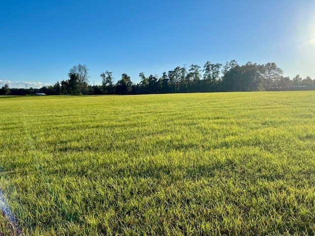 45.44 acres in Texas County gallery image 3