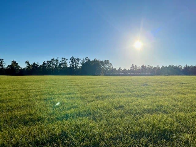 45.44 acres in Texas County gallery image 4