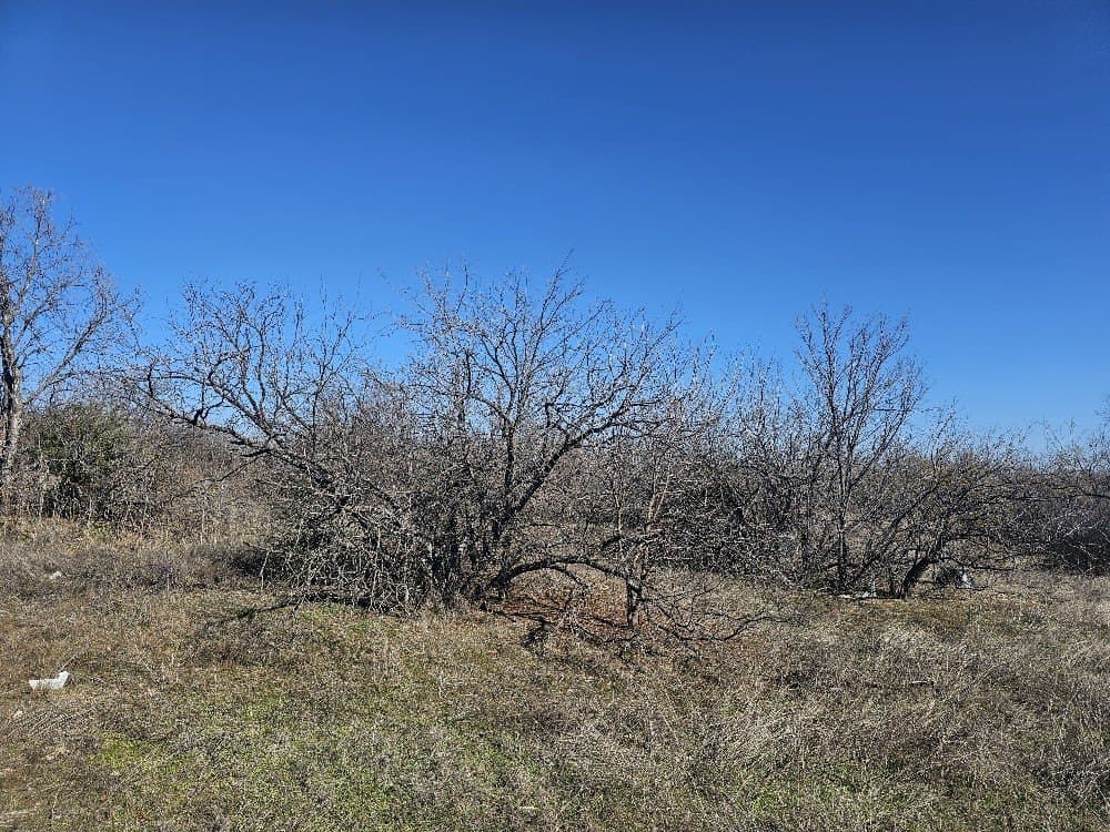 5.9 acres in Tarrant County - photo 8