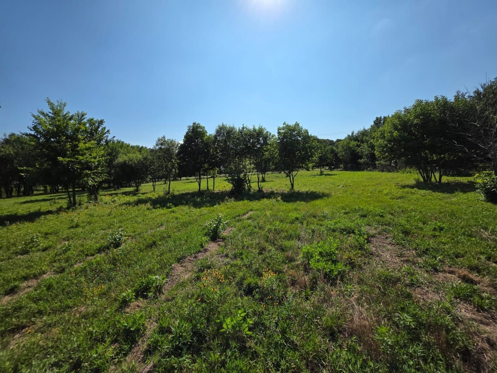 4.27 acres in Denton County - photo 2
