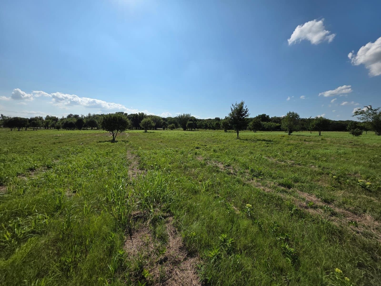 4.27 acres in Denton County - photo 3